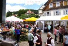 1250 Jahre Schwaningen - Dorffest Sonntag, 03. Juli 2016