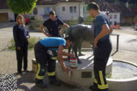 FFW Schwaningen Stadtturnier in Wangen am 02. Oktober 2016