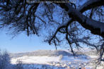 2021 - viel Schnee in Schwaningen