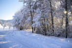 2021 - viel Schnee in Schwaningen