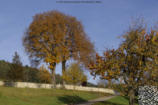 01. November - Herbst in Schwaningen