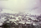 Schwaningen - alte Bilder