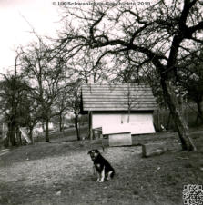 Schwaningen Dorfbilder Ausschnitte