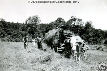 Schwaningen Dorfbilder Ausschnitte Zeitepochen