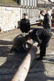 Spatzenzunft Schwaningen Narrenbaumstellen 19-02-2022