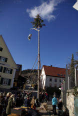 Spatzenzunft Schwaningen Narrenbaumstellen 19-02-2022